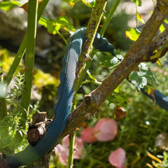 Set Gardena Liano Xtreme 1/2 inch, 15m: Furtun de grădină extrem de robust din material textil, cu furtun interior din PVC, ușor, rezistent la intemperii (18465-20)