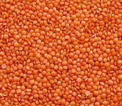 Lenticchie Rosse Seba Garden 1kg - Lenticchie Intere Premium dal Canada - Massor Dal, Non OGM, Ricco di Proteine, Ricco di Fibre - Tutto Naturale, Vegano, Senza Glutine, Ideale per Zuppe e Curry