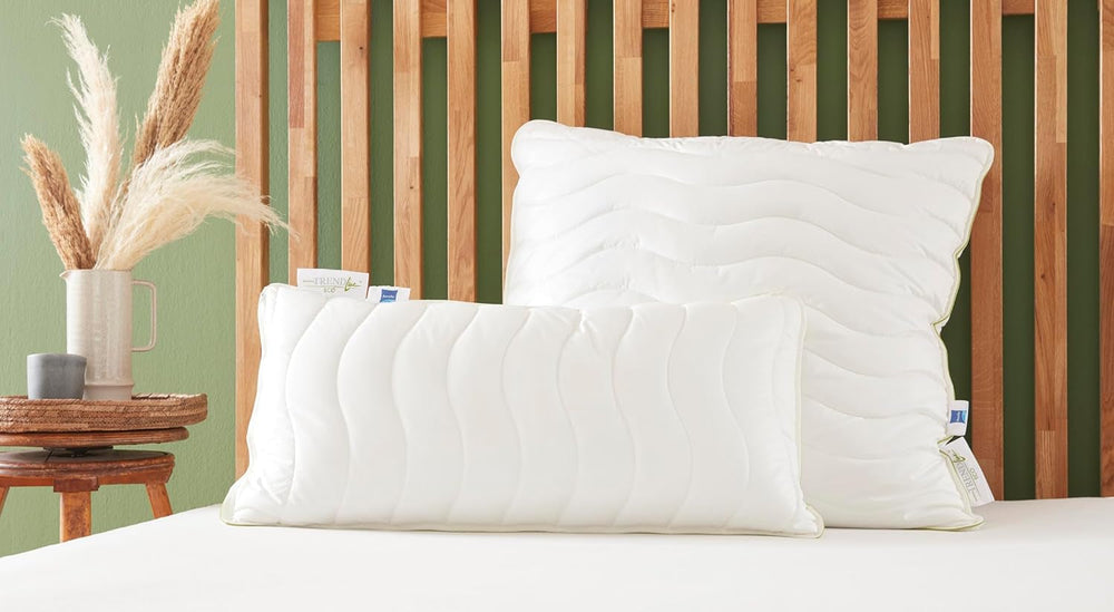 Badenia Trendline Eco Pillow Aerelle Blue 80 X 80 Cm, alb, certificat Oeko-Tex, produs în conformitate cu standardul de calitate german Perne standard Naty Shop 80 X 80 Cm