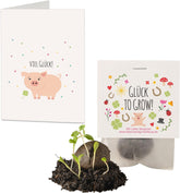 10x "Glück to grow" Semenbomben als Glückbringer 2026 & Blumensamen Geschenk | Mitbringsel Erwachsene & kleine Gastgeschenke Silvester - Kleeblatt Glückbringer Prüfung - inkl. Set di carte regalo