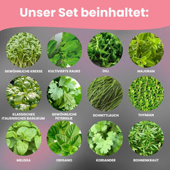 LERAVA Kräutersamen Set – 12 Sorten: Basilikum Samen, Parsilie Samen, Koriander, Origano & mehr – Saatgut für frische Kräuter im Garten oder Topf, Premium Samen für Küche & Balkon - Samen set, semi