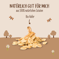 Allos Bio Haferdrink Barista | Milchalternative aus Hafer | Schaumbarer Drink auf Pflanzenbasis | Perfetto per il caffè Bevanda vegana, senza lattosio | 1 litro (6 pezzi)