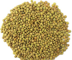 Lenticchie Verdi – Varietà Laird, Confezione da 1 kg | Qualità Premium, Lenticchie Intere | Ricco di proteine e fibre | Vegano, non OGM | Ideale per zuppe, insalate, curry e preparazione dei pasti