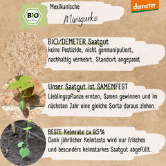 Semi di cetriolo messicano mini biologici, 10 semi di cetriolo snack, alto tasso di germinazione, certificati Demeter e impollinati aperta | LOVEPLANTS Semi di ortaggi per aiuola rialzata da giardino sul balcone - Varietà di ortaggi cimelio