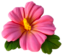 Fiore di ibisco commestibile – 9,5 cm, decorazione per torte
