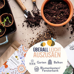 Blumenwiese Samen I 200 g I Blumensamen mehrjährig I Samen für Bienen Blumenmischung I Wildblumensamen f. Balkonblumen, Wildblumen I Wildblumensamen più inverno come Bienenweide