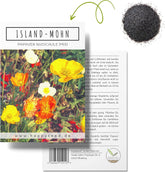 Mix di semi di papavero islandese (Papaver nudicaule) - Bellissimi papaveri in fiore con un lungo periodo di fioritura per un prato fiorito colorato (papavero islandese)