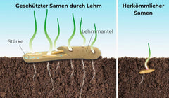 Semi di fiori ricoperti di argilla protettiva per api e farfalle, 400 g. Miscela di fiori selvatici perenni e resistenti all'inverno per 20 m². Bellissimi semi di fiori di campo per un colorato pascolo di api. Regalo per bambini.