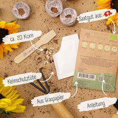 Semi di girasole biologici ramificati, 20 semi di girasole ad alto tasso di germinazione, semi di girasole per giardino, balcone, aiuola o regalo per gli ospiti. Semi di fiori impollinati gratuitamente.