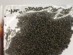 1000 semi di papavero della California (Eschscholzia californica), prato di fiori selvatici, pascolo di api.