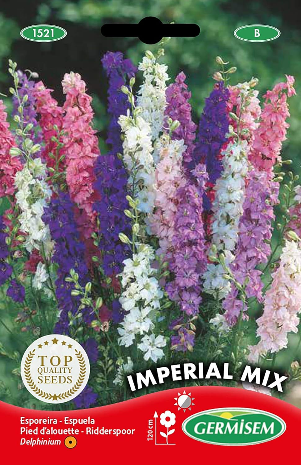 Sommer-Rittersporn EC1521 più grande