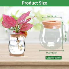 Stazione di coltivazione idroponica per piante 12x11 cm Vaso per semi di avocado Fioriera in vetro Vaso in vetro idroponico per piante acquatiche o fiori Decorazioni per la tavola da scrivania 2 pezzi