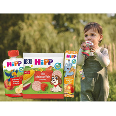 HiPP Mini Biscuiți cu Unt și Inimi de Ovăz și Vanilie (12 x 40g), de la 1 an, gustare batonă organică în formă de inimă, cu conținut ridicat de cereale și fibre, îndulcită doar cu fructe, de cea mai bună calitate organică