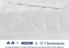 Irisette camel quilt - Fabricat în Germania - Mono, plapumă pentru toate anotimpurile, plapumă din păr de cămilă pentru tranziție, 155 X 220 Cm, certificat Oeko-Tex Plapumi si pilote Naty Shop