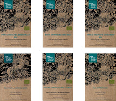 Le nostre piante preferite: piante perenni e fiori estivi per gli amanti dei fiori (organici) - Set regalo di semi con 6 deliziose varietà per un'esplosione floreale selvaggia - ti rende felice!