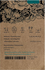 Margherita blu (Brachyscome iberidifolia) ca. 500 semi di fiori annuali da balcone, piante da vaso a fioritura lunga, fiori estivi