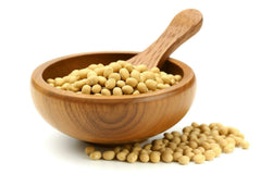 Soia gialla speciale per tofu 5 kg biologica