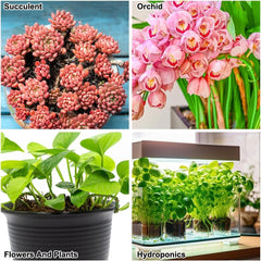 Granuli di argilla a grana grossa, Granuli di argilla espansa, Granuli vegetali, Substrato per piantagione idroponica in argilla espansa 1 litro, Granuli di argilla granulata da 5-8 mm