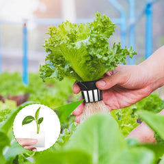 Lana di roccia, lana di roccia per propagazione, 2 pezzi, spugna idroponica, 200 pezzi dopo il taglio - Alternativa per serra, germinazione di semi e verdure domestiche