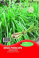 Grass - Zitronengras EC0005 Mehrfarbig