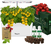 Nuovo 7 Bridge + Basilico cimelio | Giardino intelligente per cuochi casalinghi | Sistema di coltivazione idroponica | Luci progressive a LED | Kit per giardinaggio di erbe aromatiche da interni per amanti delle piante e giardinieri, bianco