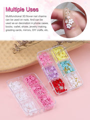 Kalolary Flori Nail Art Talismani, Flori Acrilice 3D pentru Unghii Ornamente Florale cu Cinci Petale Pietre PreČioase pentru Unghii Strasuri pentru Unghii MÄrgele Metalice Mixte pentru Design Nail Art DIY ConfecČionarea Bijuteriilor (2 Cutii)
