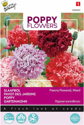 Fiori di papavero Buzzy Mac Paeoniflorum Gef. Mescolare.