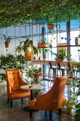 1L Lewatit HD-50, granule de îngrășământ hidroponic de înaltă calitate, pe termen lung, perfect pentru toate plantele ornamentale, efect pe termen lung de până la 6 luni
