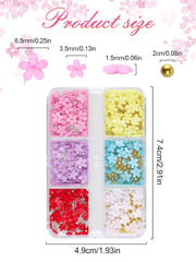 Kalolary Flori Nail Art Talismani, Flori Acrilice 3D pentru Unghii Ornamente Florale cu Cinci Petale Pietre PreČioase pentru Unghii Strasuri pentru Unghii MÄrgele Metalice Mixte pentru Design Nail Art DIY ConfecČionarea Bijuteriilor (2 Cutii)