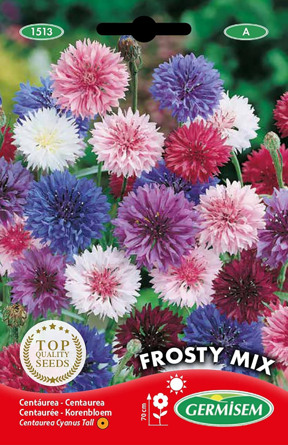 Flower-de-Curțum FROSTY MIX EC1513 multicolore