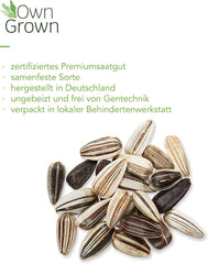 Semi di girasole Discus gialli (Helianthus annuus): semi di girasole premium, semi di girasole per coltivare circa 20 piante di girasole - Semi di fiori adatti agli insetti da OwnGrown