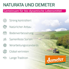 Lasagne Di Farro Integrale Biologiche, 250g | Incantesimo di Demetra dalle Alpi Sveve | Delicato sapore di nocciola per lasagne e sformati