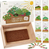 Kit per la coltivazione di semi con scatola di legno e 8 varietà di semi di piante: kit per la coltivazione di semi di verdure, fragole ed erbe aromatiche per bambini - Mini serra e mini giardino Starter Kit di OwnGrown