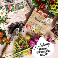 Set di semi di fiori biologici | 12 varietà di semi di fiori | Semi di fiori premium | Set di semi di piante di semi di fiori selvatici | Semi di fiori | Semi di fiori per il balcone | Regalo ideale con semi di fiori