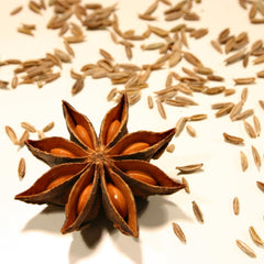 - Polvere Fünf Gewürze, (1 X 50 GR)