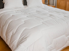 Trapunta 240 X 220 Cm | Cotone biologico e lana merino | Caldo Lavabile in lavatrice a 30°C Piumini e trapunte Naty Shop