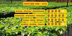 Caffè New York - XXXX - Boabe de cafea, aromă intensă dar fină, Arabica și prăjire medie robustă, pentru măcinare, espresso italian, amestec de bar - calitate înaltă din 1930 - 1 kg, boabe
