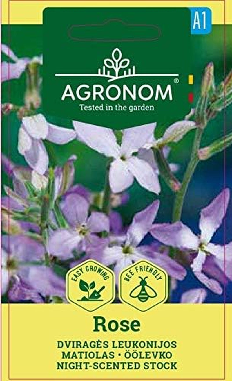 AGRONOM | Trandafir cu două coarne | Semințe de flori | Semințe de trandafir | Plantă anuală, ușor de cultivat | 1 pachet