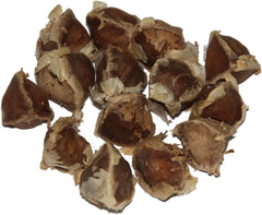 Moringa - Moringa oleifera - 100 semi *Chiamato anche albero di rafano*