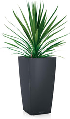 LECHUZA CUBICO Culoare 30 gri ardezie 13138, 29,5x29,5x56,5 cm