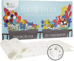 Amestec colorat de flori de balcon - 2 covorașe premium pentru semințe de flori de balcon, ușor de cultivat, flori de vară și semințe de flori sălbatice de la OwnGrown, semințe anuale prietenoase cu insectele