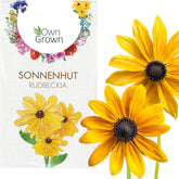 Semi di Echinacea: semi di Echinacea gialli premium per circa 20 piante di Echinacea da fiore – Semi di Rudbeckia – Rudbeckia resistente – Piante perenni di Echinacea – Piante perenni resistenti di OwnGrown