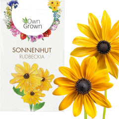 Semi di Echinacea: semi di Echinacea gialli premium per circa 20 piante di Echinacea da fiore – Semi di Rudbeckia – Rudbeckia resistente – Piante perenni di Echinacea – Piante perenni resistenti di OwnGrown