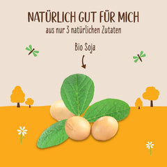 Allos Bio Sojadrink ohne Zucker | Milchalternative aus Soja | Bevanda alla soia | Drink auf Pflanzenbasis | Bevanda vegana | ohne zugesetzten Zucker | vegano | senza lattosio | 1 litro (6 pezzi)