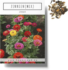 Mix di semi di zinnia (Zinnia) - Fiori estivi colorati per aiuole, balconi, terrazze e come fiori recisi in vasi