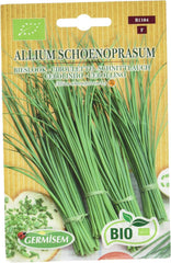 Schnittlauch ALLIUM SCHOENOPRASUM, ECBIO1104