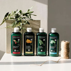 LOGONA Cosmetici Naturali, Shampoo, formula vegana caffeina biologica, 250 ml Doccia e Bagno Naty Shop