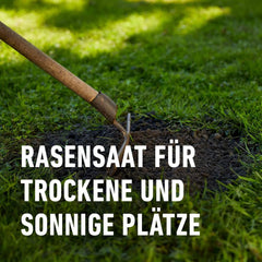 Compo SAAT® Trocken-Rasen 2Kg Für 80M²