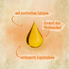 Ida Plus - GoldenEgg 200 ml - ridotto Brucheier & Federfressen - supportato Federwachstum & Federkleid - Wichtige Mineralien & Vitamine für Hühner - Beste Eierqualität bei Ihrer Hühnerhaltung