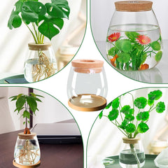 Stazione di coltivazione idroponica per piante 12x11 cm Vaso per semi di avocado Fioriera in vetro Vaso in vetro idroponico per piante acquatiche o fiori Decorazioni per la tavola da scrivania 2 pezzi